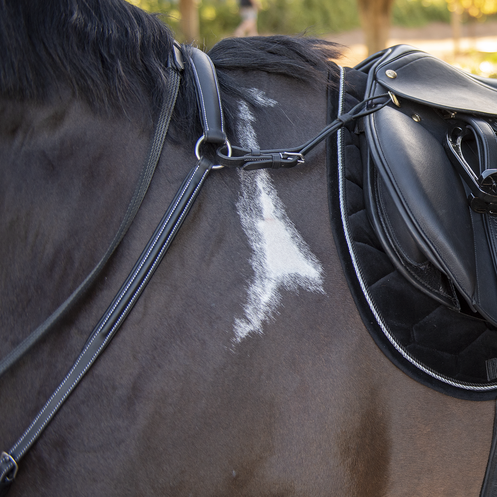 Breastplate Capriole Elasticated Hunting Black