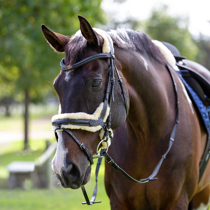 Bridle - Capriole Iivy with fur and with Suregrip reins