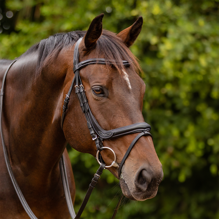 Bridle - Capriole Ivy padded with rubber reins