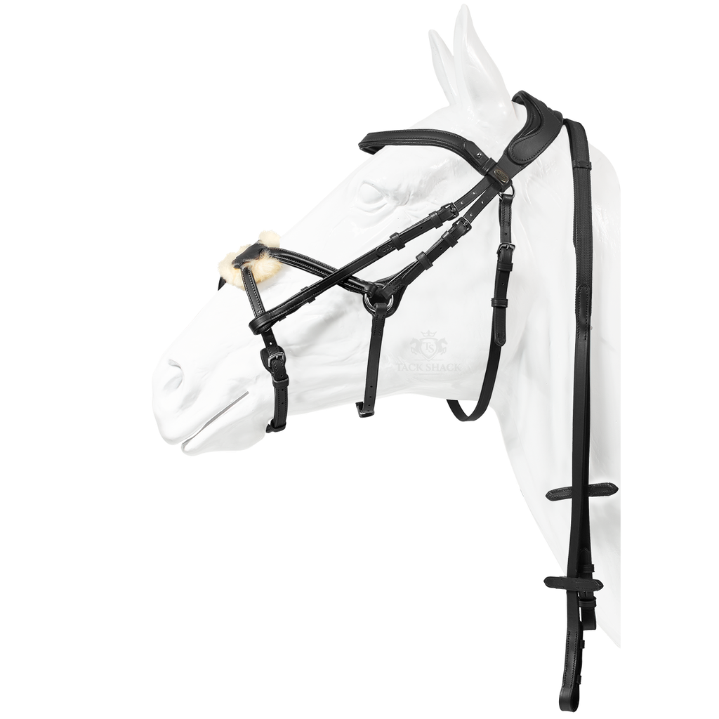 Bridle Capriole Star Black
