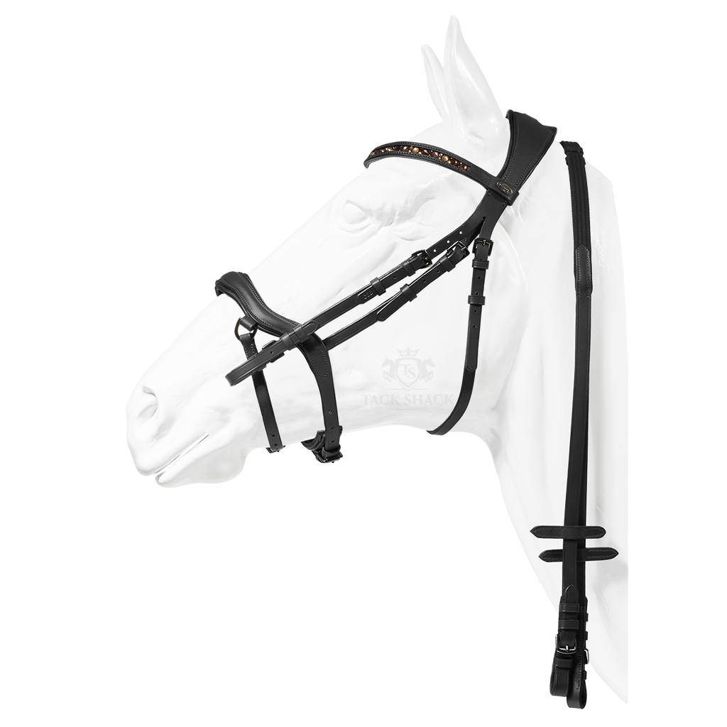 Bridle Capriole Valencia Black