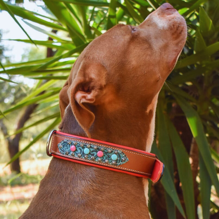 Leather Dog Collar &ndash; Brown with Pink &amp; Blue Studs
