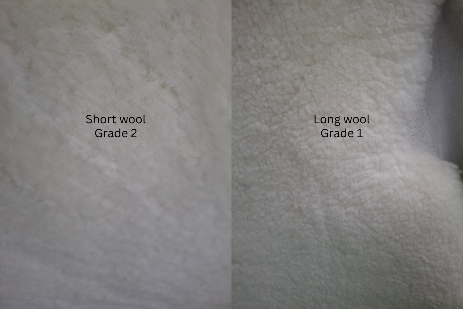 Sheepskin wool-on , white crust, 10-12mm wool length, firm body,&nbsp;for&nbsp;insoles etc