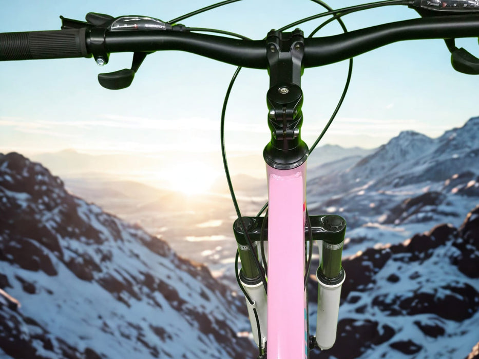 Bicycle Pyramid MTB Vogue 24 inch