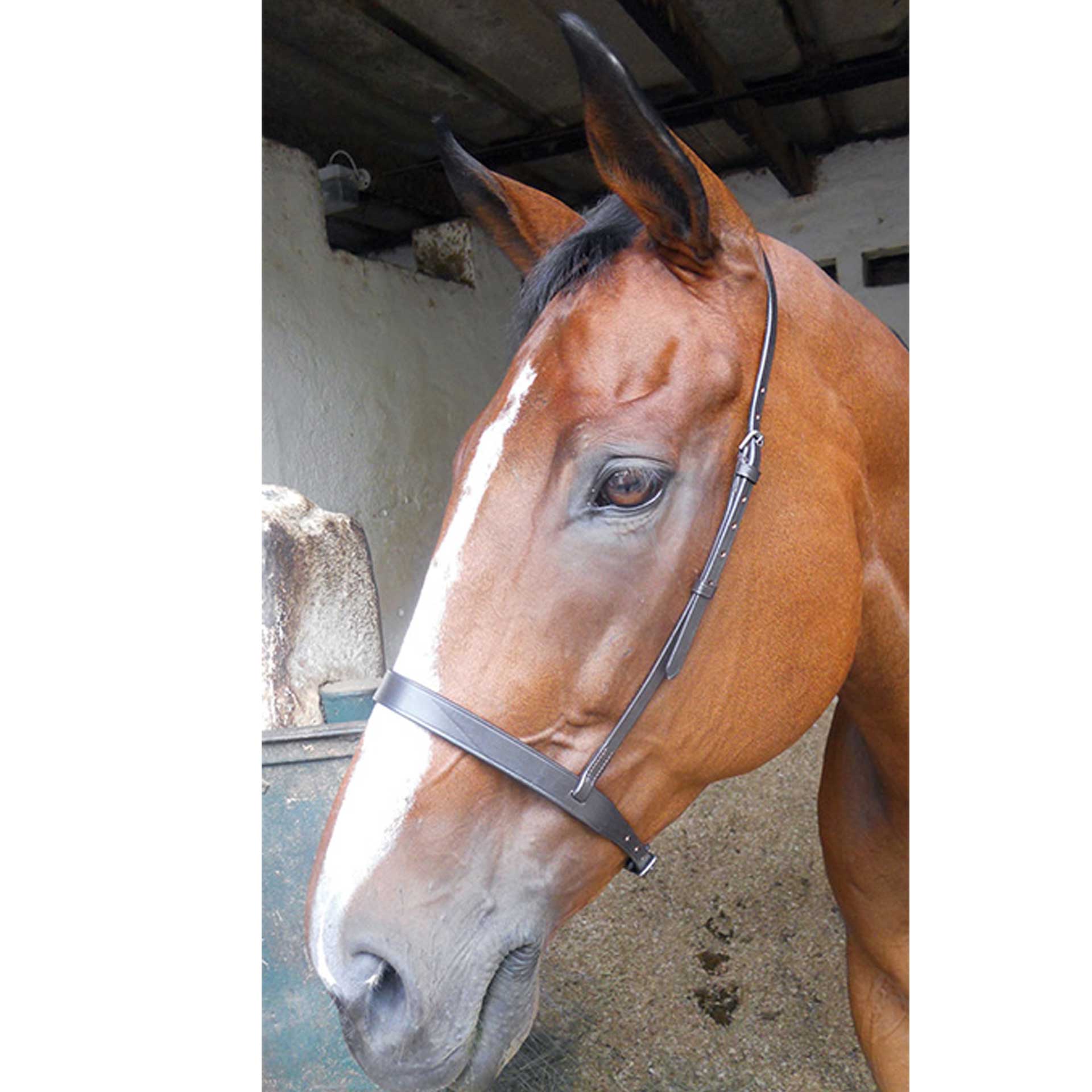 Caveson Noseband Flat Leather Solo
