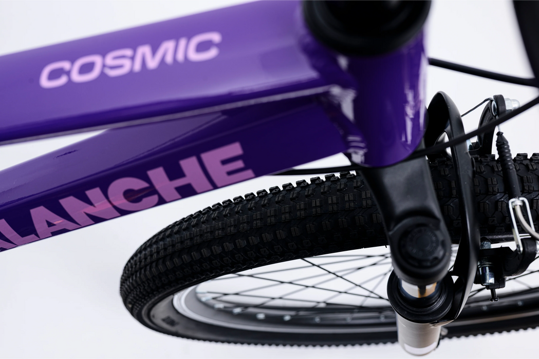 Avalanche cosmic girls 24 inch bike Purple