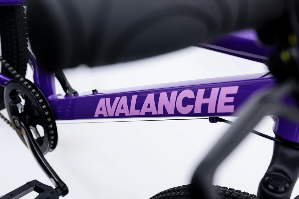 Avalanche cosmic girls 24 inch bike Purple