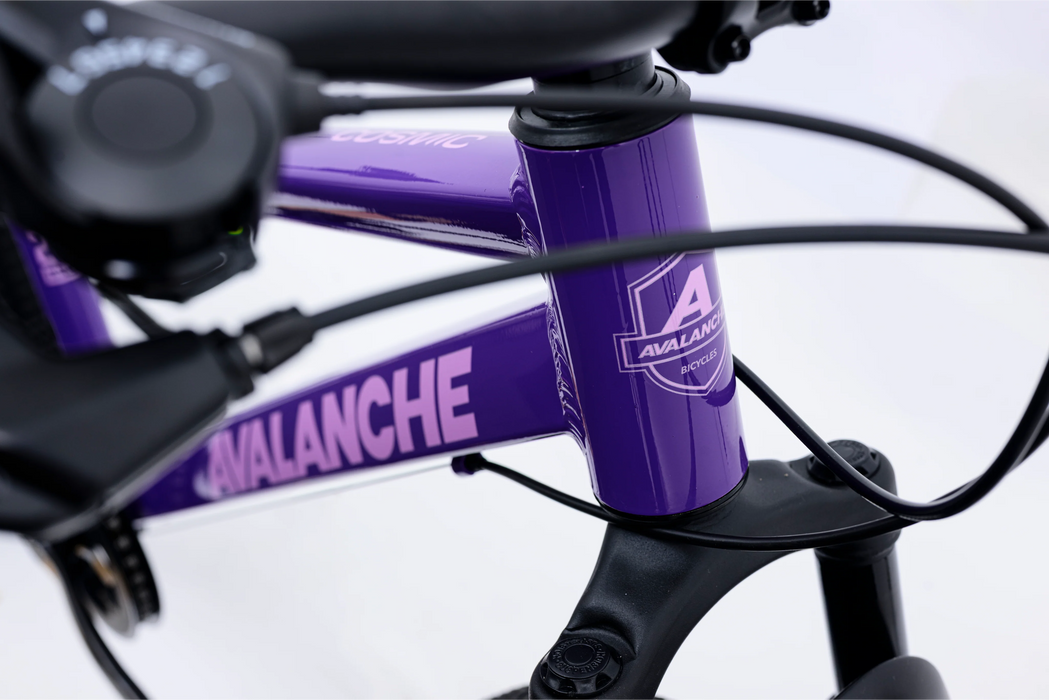Avalanche cosmic girls 24 inch bike Purple