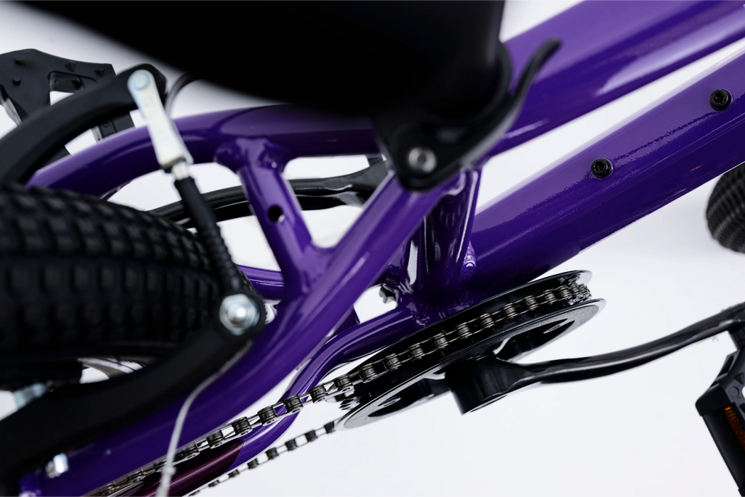 Avalanche cosmic girls 24 inch bike Purple