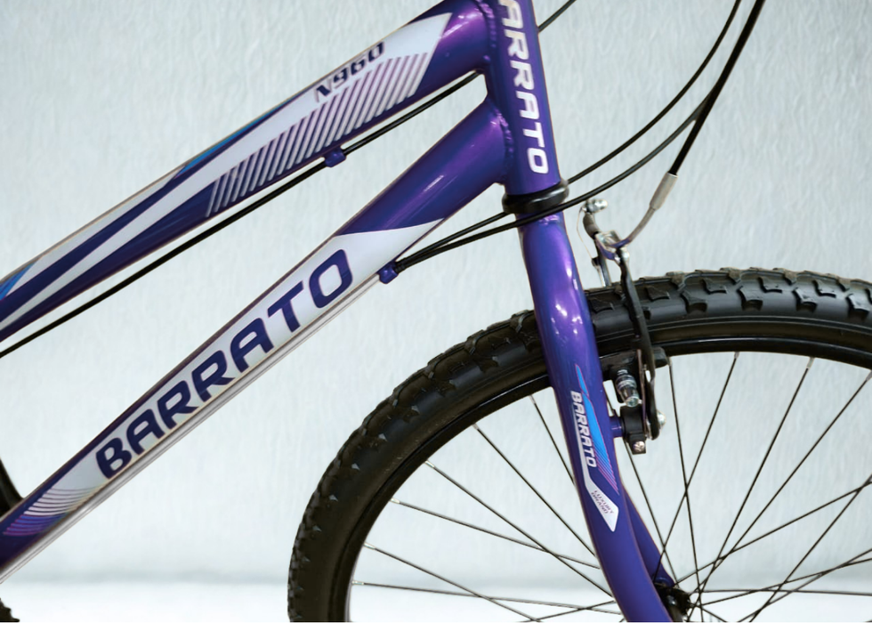 Barrato or Pyramid MTB 26 inch Bicycle Ladies