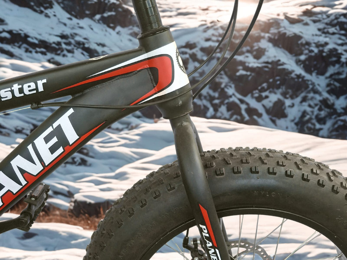 Planet Fat Bike 20"