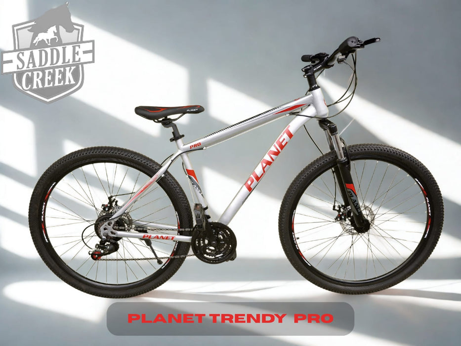 Bicycle MTB 29 inch Planet 19 PRO