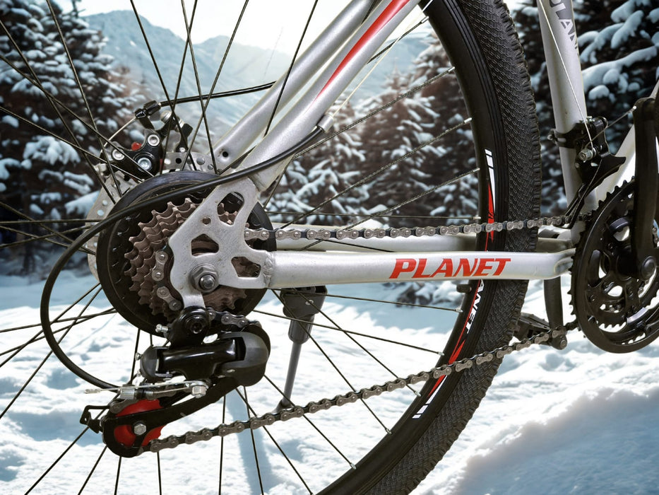 Bicycle MTB 29 inch Planet 19 PRO