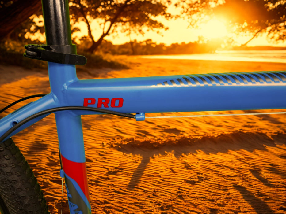 Bicycle MTB 29 inch Planet 19 PRO