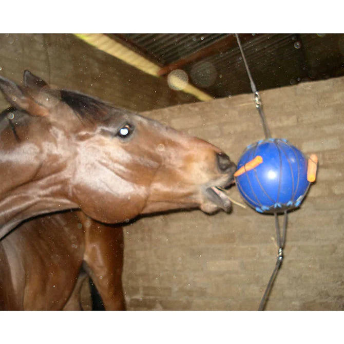 Boredom ball distraction aid 9 inch green