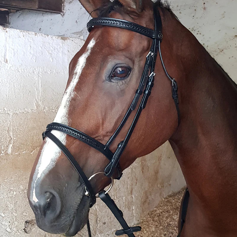 Bridle Braided Solo