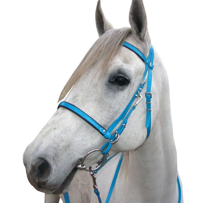 Bridle only endurance american biothane