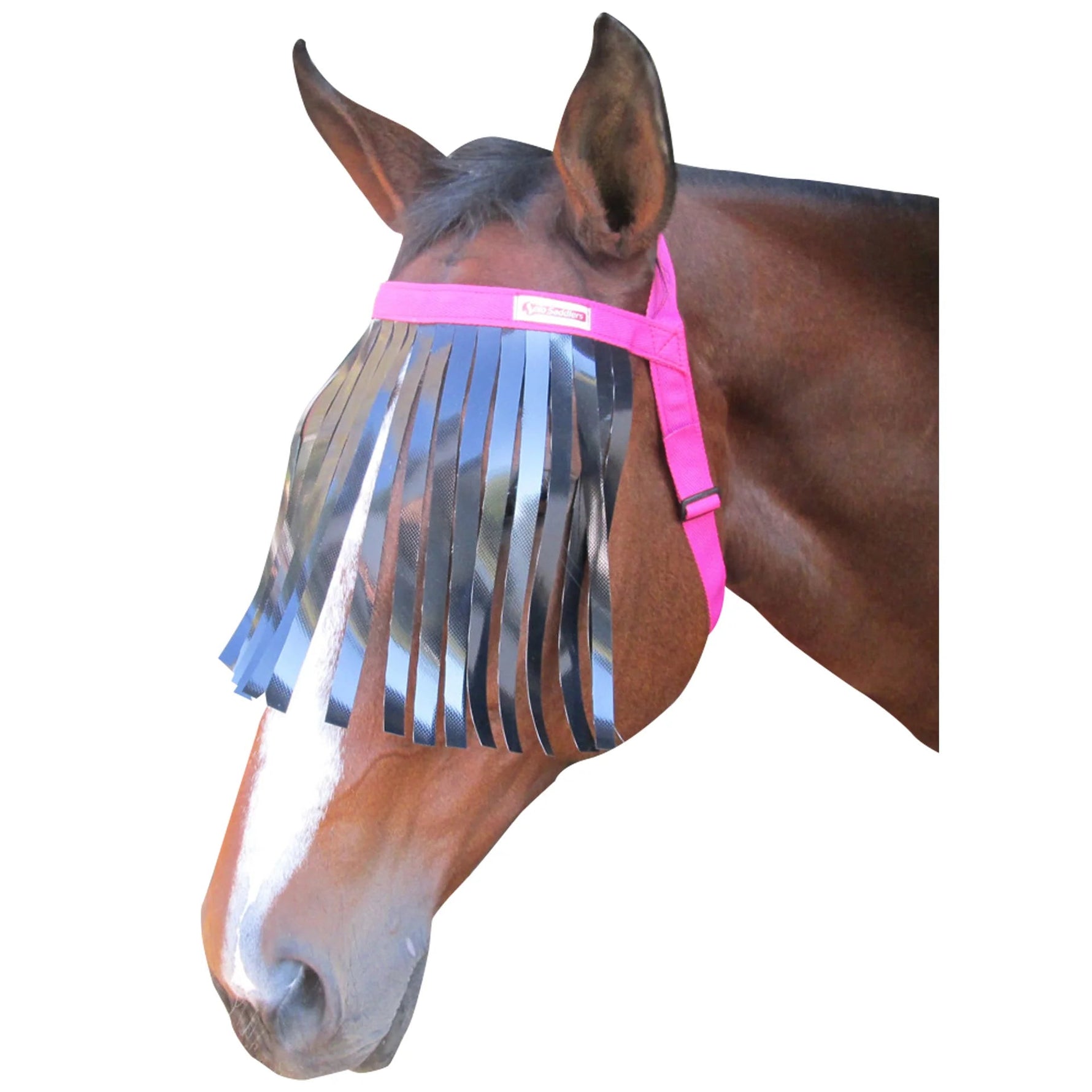 Fly fringe used without a halter