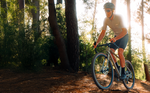Avalanche DUST Gravel Bike - SAND/MAROON