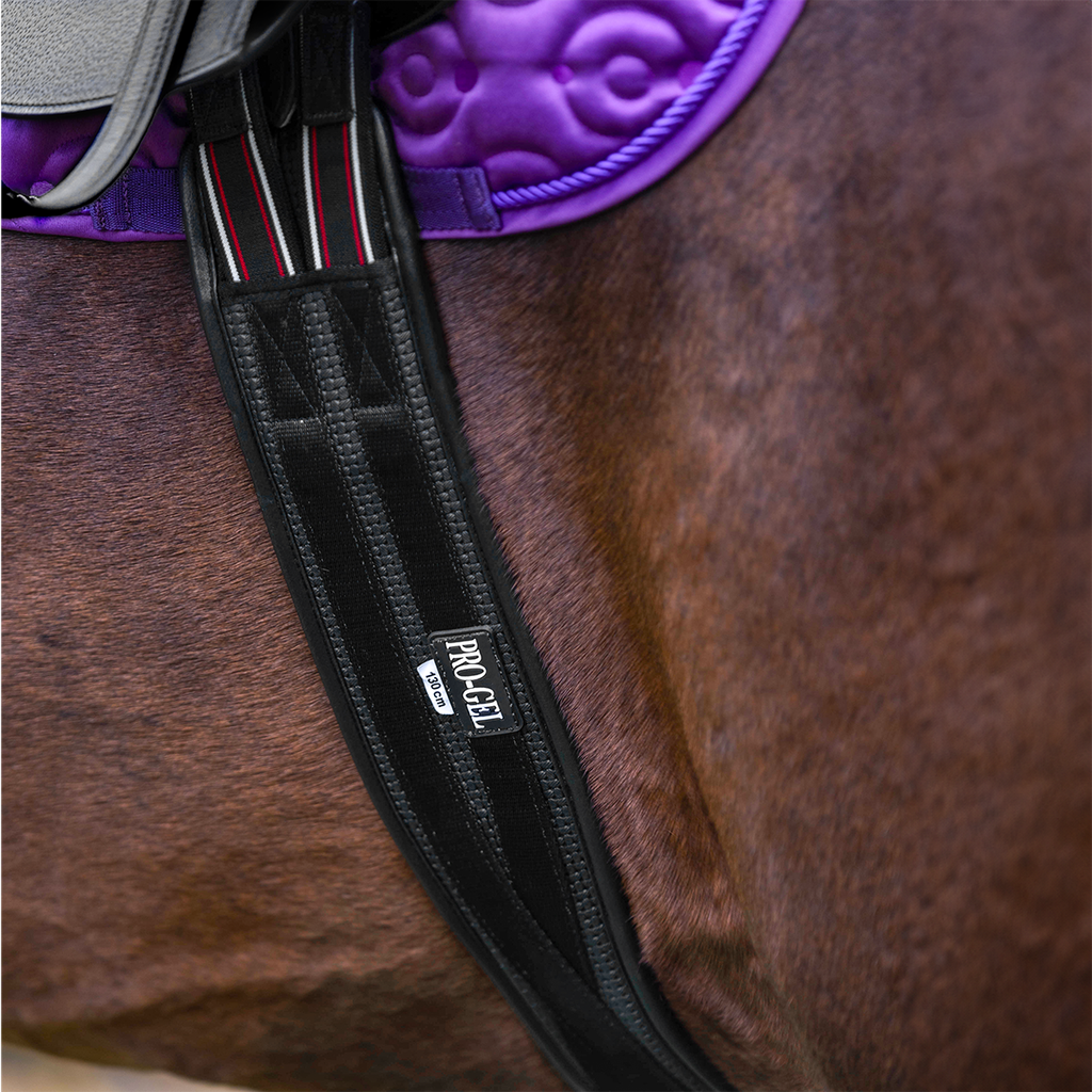 Girth pu atherstone ss with Single elastic black