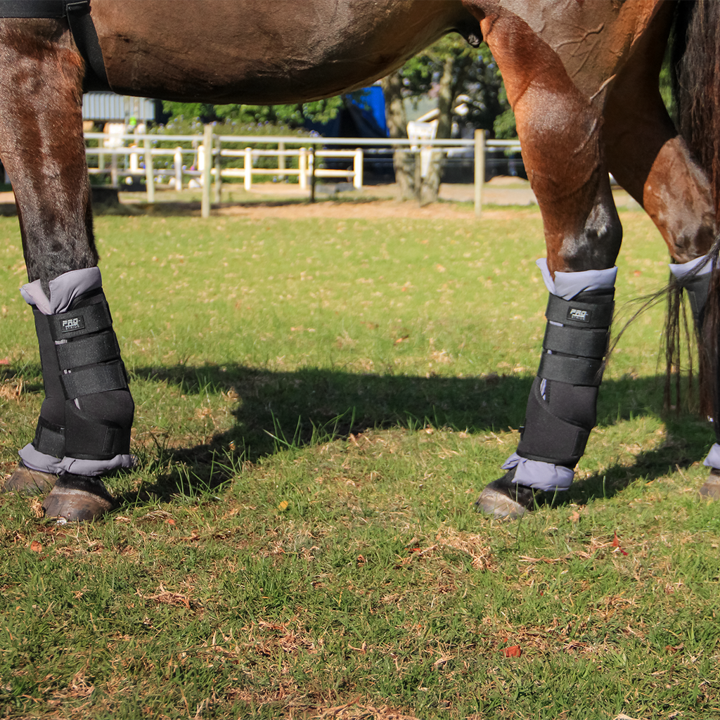 Pro Stride Stable Boots