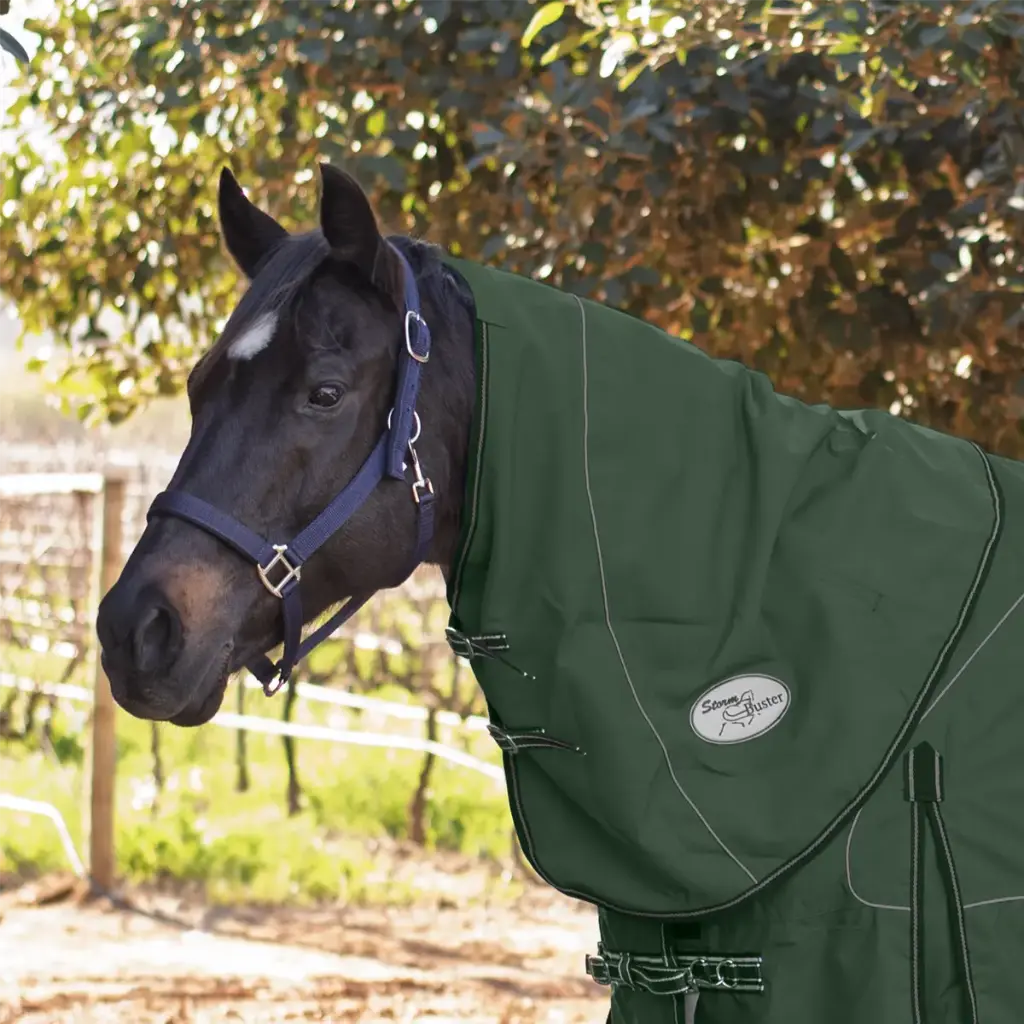 Rain Sheet Neck Storm Buster