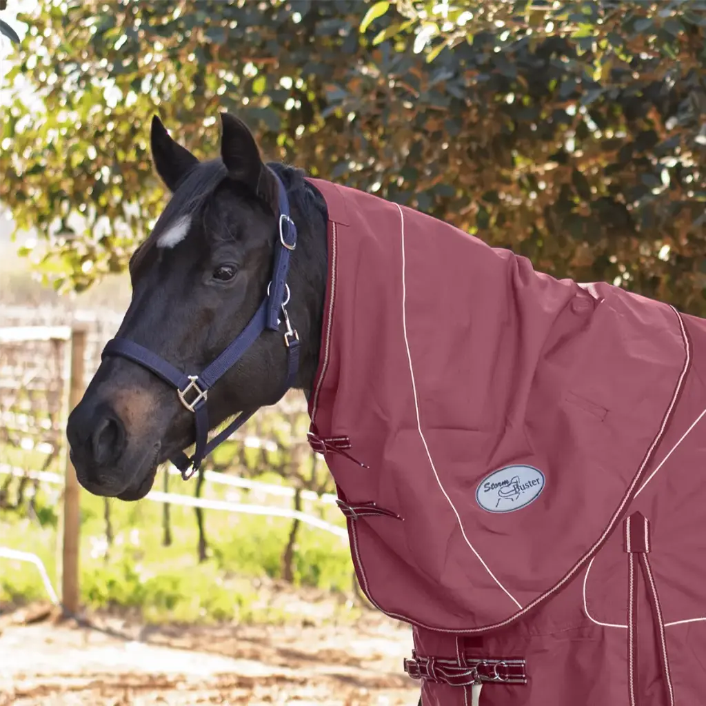 Rain Sheet Neck Storm Buster