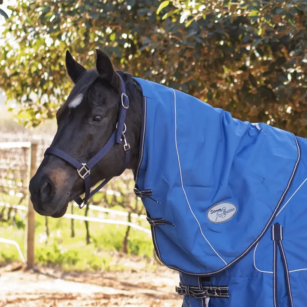 Rain Sheet Neck Storm Buster