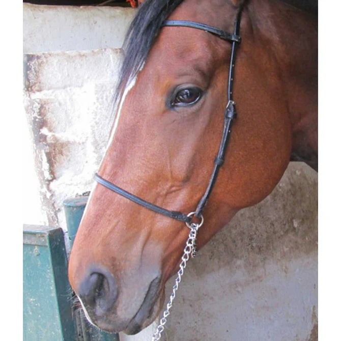 Halter Show Leather Solo Without Cain And Lead