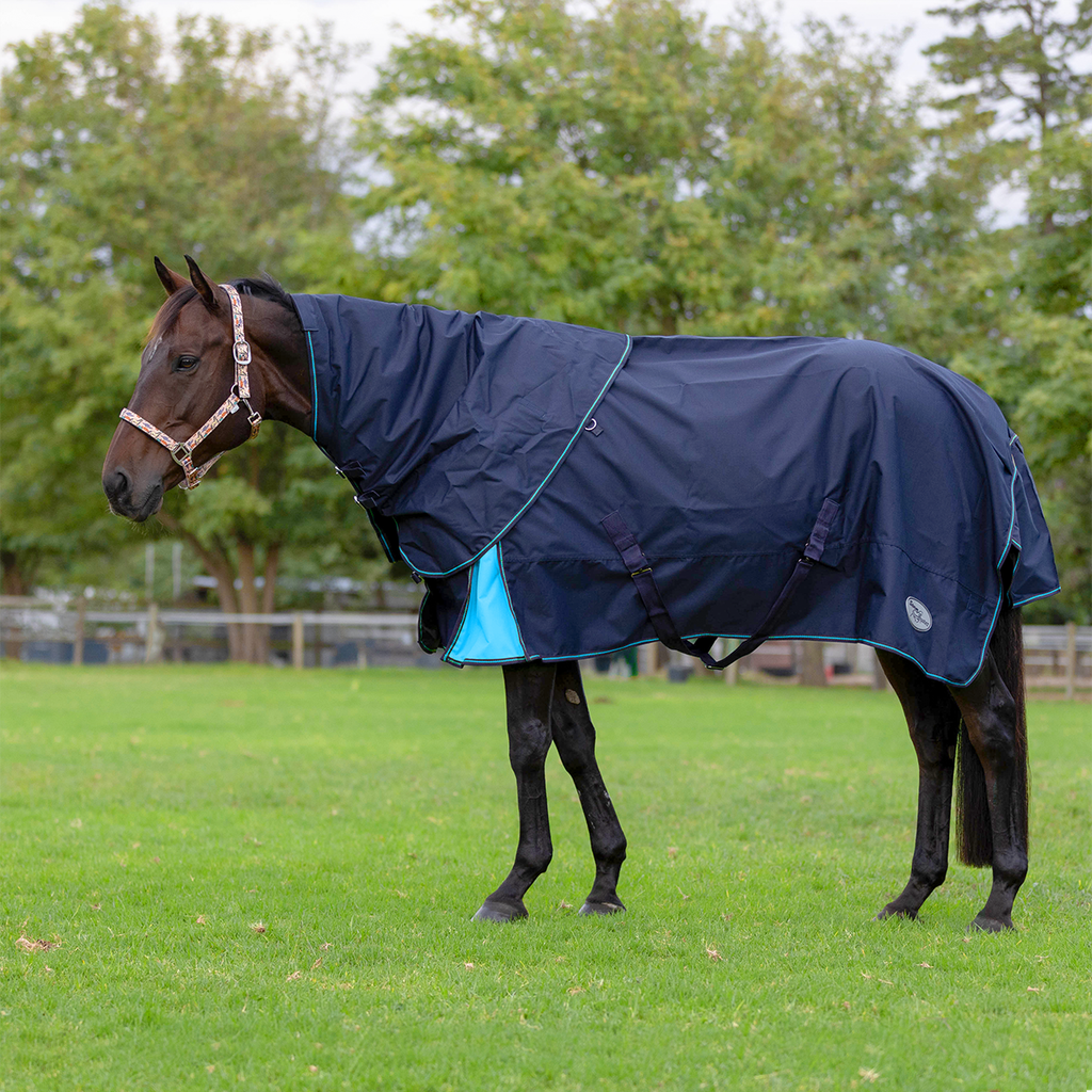 Storm Buster Rain Sheet with Neck Navy And Turquoise