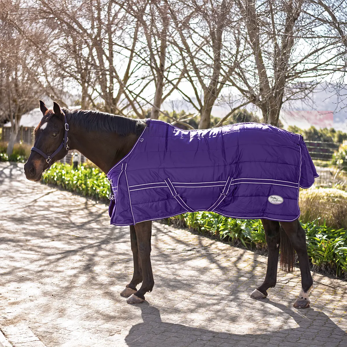 Stable Buster Duvet Rug