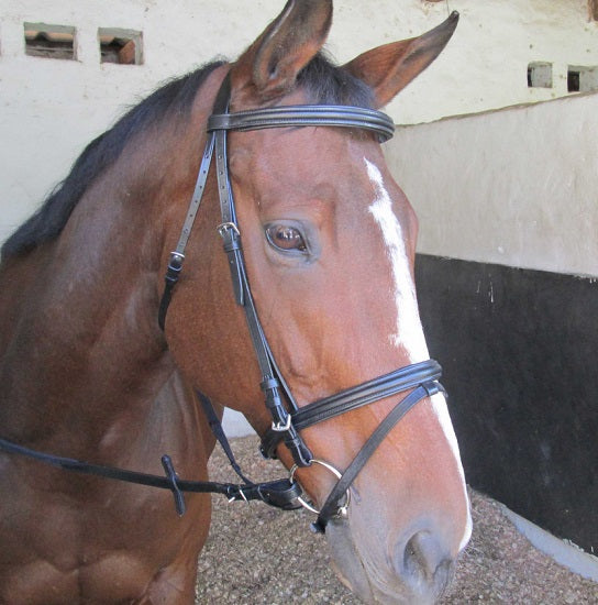 Bridle raised and padded ss