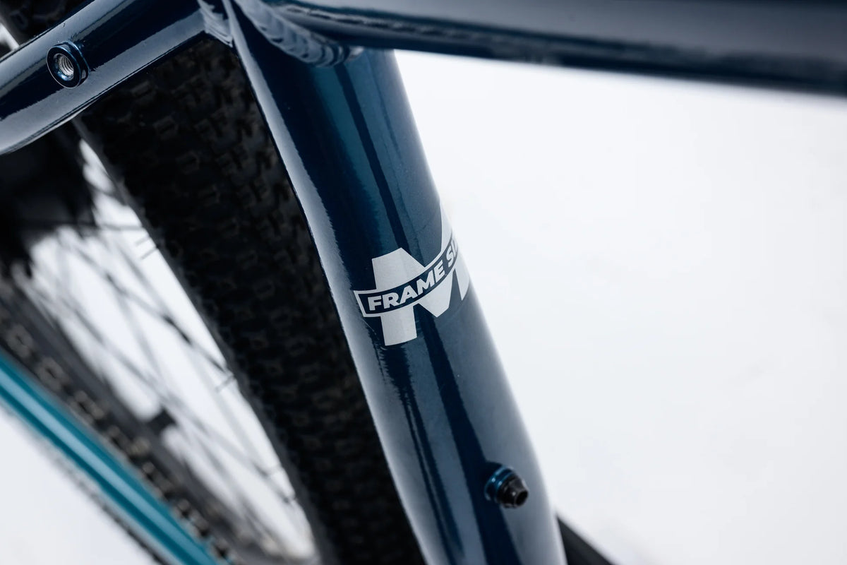 Avalanche MTE E-BIKE 29" SEA SPARKLE