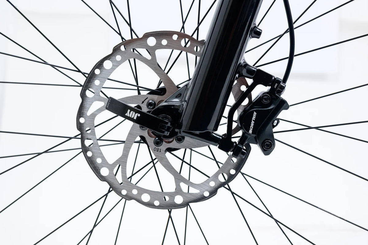 Avalanche MTE E-BIKE 29" SEA SPARKLE