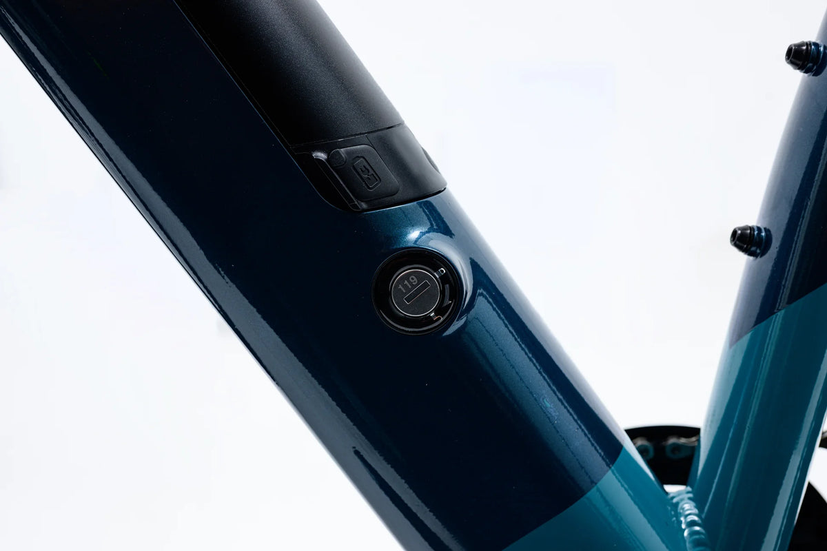 Avalanche MTE E-BIKE 29" SEA SPARKLE