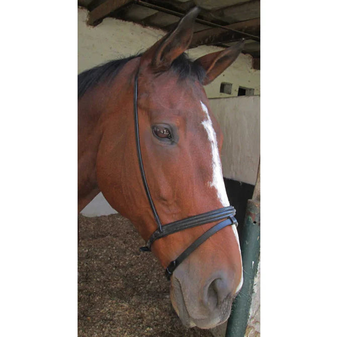 Flash Noseband Padded