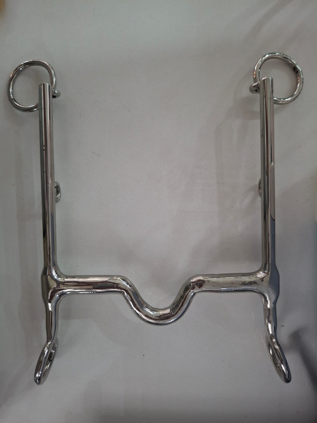 Curb Bit