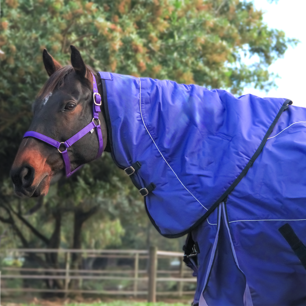 Storm Buster Turnout Neck Piece Outdoor