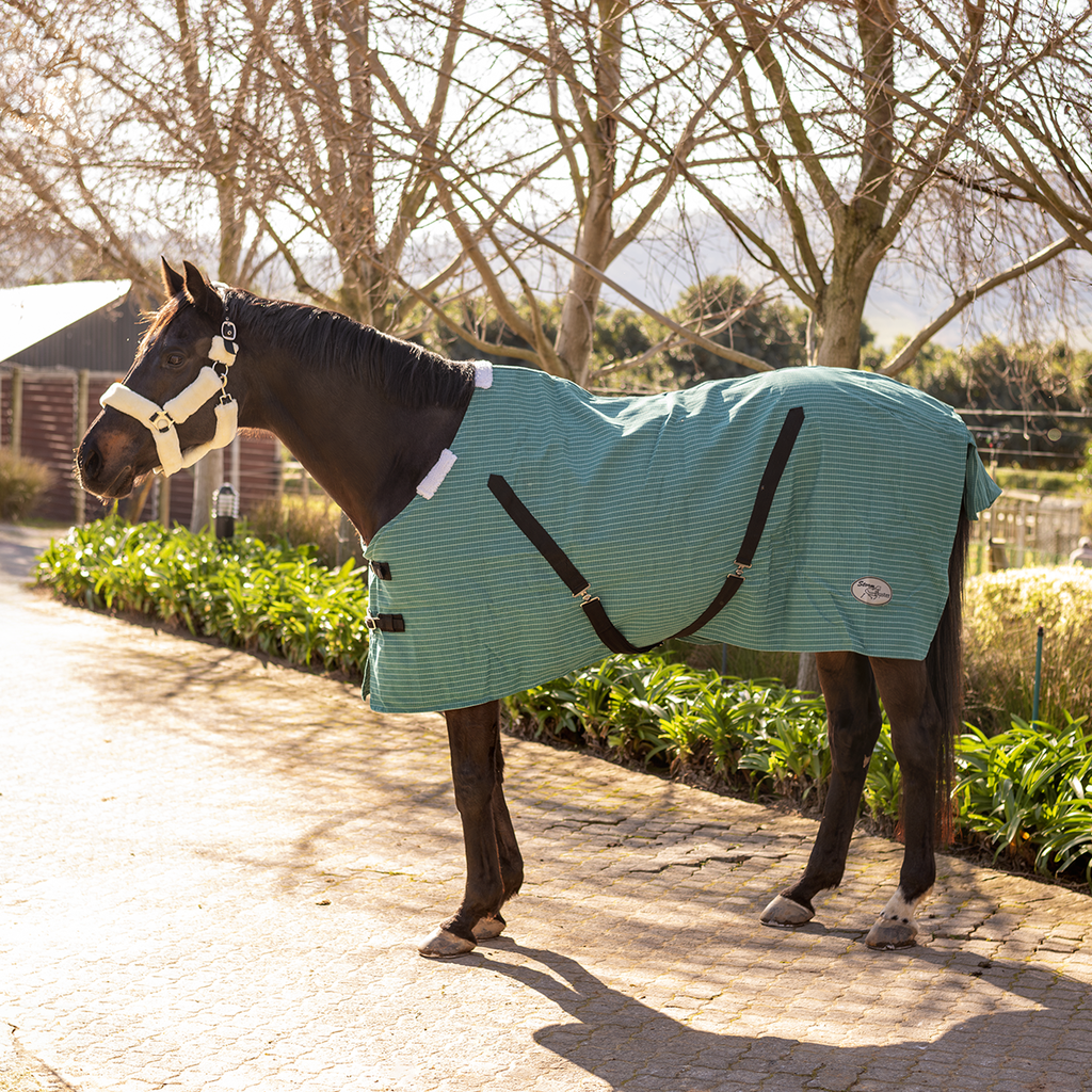 Stable blanket with canvas