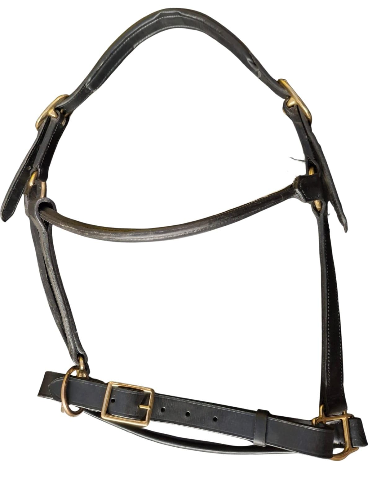Bridlecraft Show Halter leather with Brass Fittings