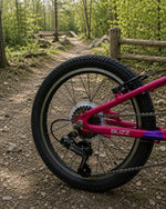 Avalanche Buzz 20inch Girls Purple