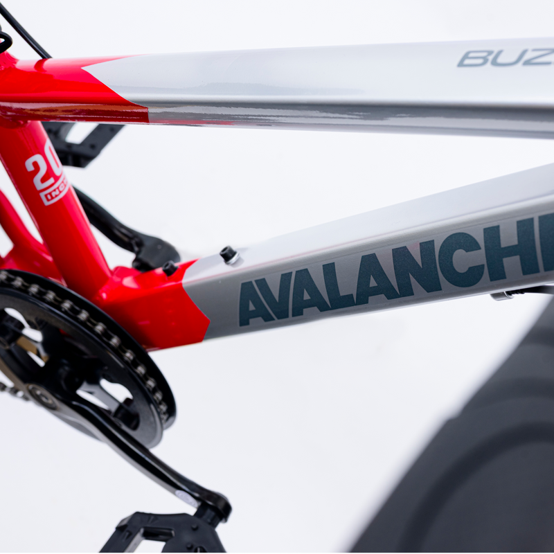 Avalanche Buzz 20" Boys Red