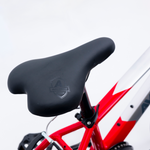 Avalanche Buzz 20" Boys Red