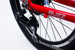 Avalanche Buzz 20" Boys Red