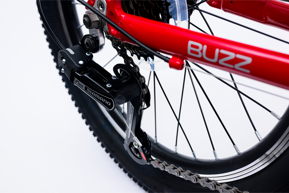 Avalanche Buzz 20" Boys Red