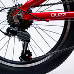 Avalanche Buzz 20" Boys Red