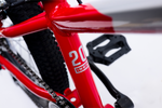 Avalanche Buzz 20" Boys Red