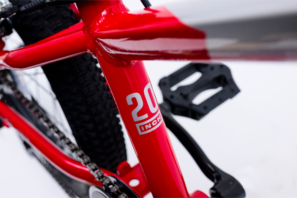 Avalanche Buzz 20" Boys Red