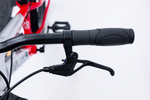 Avalanche Buzz 20" Boys Red