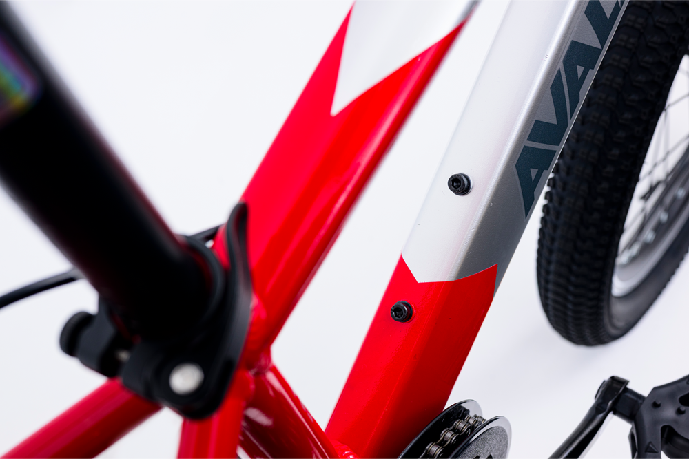 Avalanche Buzz 20" Boys Red